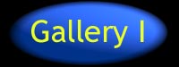 gallery1.jpg (19634 bytes)