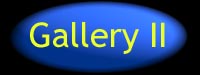 gallery2.jpg (19822 bytes)