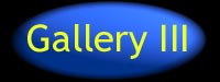 gallery3.jpg (19903 bytes)