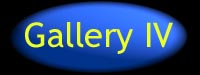 gallery4.jpg (19959 bytes)